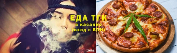 мдпв Гусев