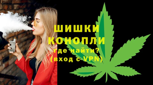 сатива Гусь-Хрустальный