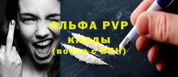 сатива Гусь-Хрустальный