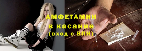 мдпв Гусев
