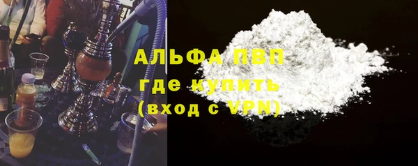 мдпв Гусев