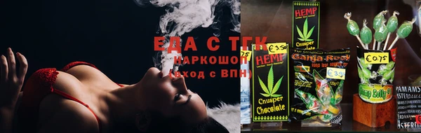 мдпв Гусев
