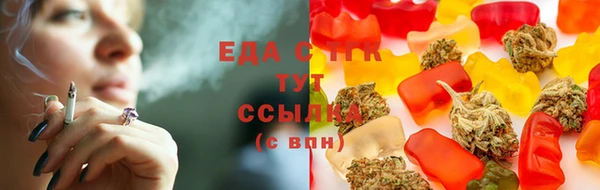 мдпв Гусев