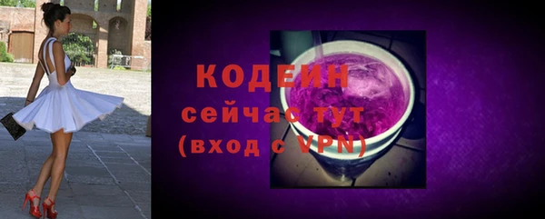 сатива Гусь-Хрустальный