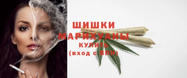 сатива Гусь-Хрустальный