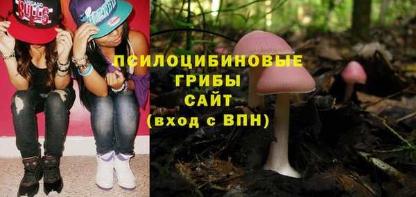 сатива Гусь-Хрустальный