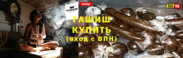 сатива Гусь-Хрустальный