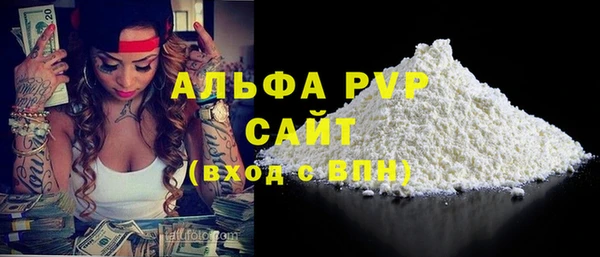 мдпв Гусев