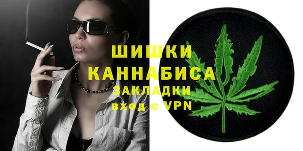 мдпв Гусев
