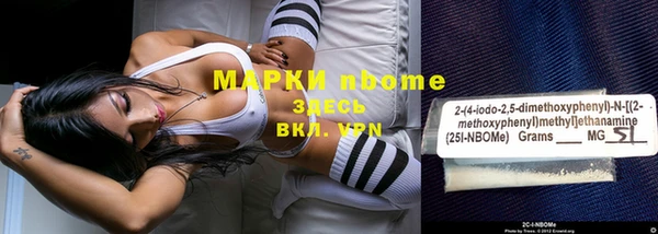 мдпв Гусев