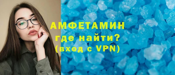 мдпв Гусев