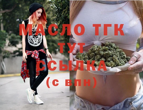мдпв Гусев