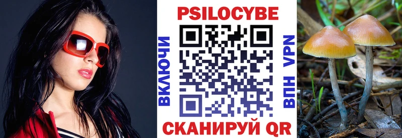 Купить где  Альметьевск  Псилоцибиновые грибы Cubensis 